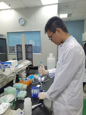 科研新星綻放 2020級巴斯德英才班閔晟一同學在《Frontiers in Public Health》發表醫學研究新成果